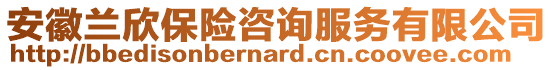 安徽兰欣保险咨询服务有限公司