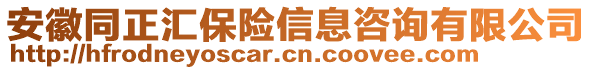 安徽同正匯保險(xiǎn)信息咨詢有限公司