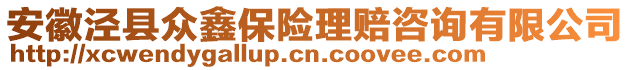 安徽涇縣眾鑫保險理賠咨詢有限公司