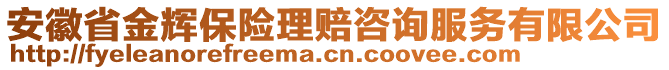 安徽省金輝保險理賠咨詢服務有限公司