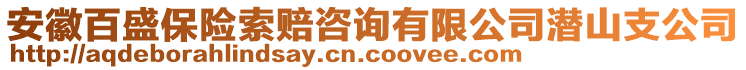 安徽百盛保險索賠咨詢有限公司潛山支公司