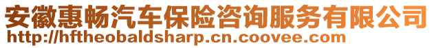 安徽惠畅汽车保险咨询服务有限公司