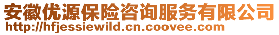 安徽優(yōu)源保險咨詢服務有限公司