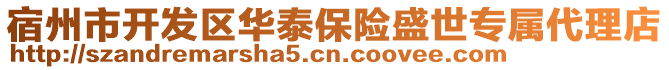 宿州市開發(fā)區(qū)華泰保險盛世專屬代理店