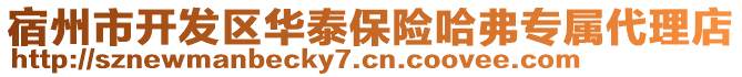 宿州市開發(fā)區(qū)華泰保險(xiǎn)哈弗專屬代理店