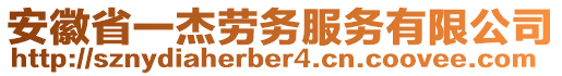 安徽省一杰勞務(wù)服務(wù)有限公司