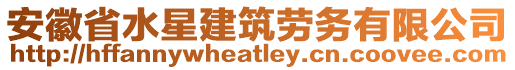 安徽省水星建筑劳务有限公司