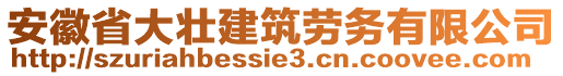 安徽省大壮建筑劳务有限公司