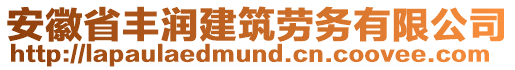 安徽省豐潤建筑勞務(wù)有限公司