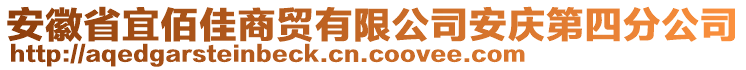 安徽省宜佰佳商貿有限公司安慶第四分公司