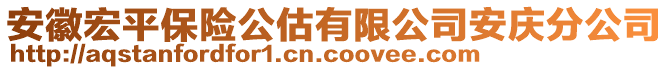 安徽宏平保險公估有限公司安慶分公司