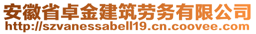 安徽省卓金建筑勞務(wù)有限公司