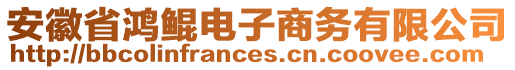 安徽省鴻鯤電子商務有限公司