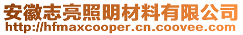 安徽志亮照明材料有限公司