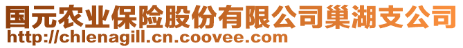 國元農(nóng)業(yè)保險股份有限公司巢湖支公司