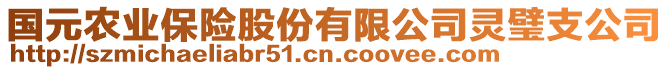 國元農(nóng)業(yè)保險股份有限公司靈璧支公司