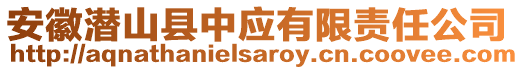 安徽潛山縣中應(yīng)有限責(zé)任公司