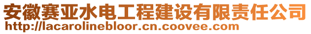 安徽賽亞水電工程建設(shè)有限責(zé)任公司