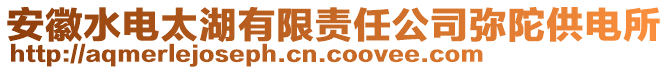 安徽水電太湖有限責(zé)任公司彌陀供電所