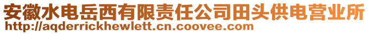 安徽水電岳西有限責(zé)任公司田頭供電營業(yè)所