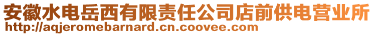 安徽水電岳西有限責(zé)任公司店前供電營業(yè)所