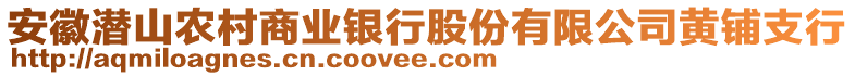 安徽潛山農(nóng)村商業(yè)銀行股份有限公司黃鋪支行