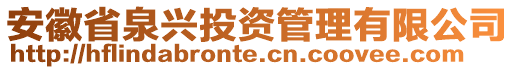 安徽省泉興投資管理有限公司