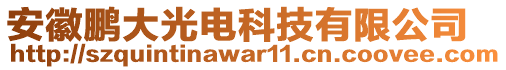 安徽鵬大光電科技有限公司