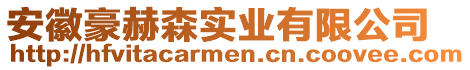 安徽豪赫森實(shí)業(yè)有限公司