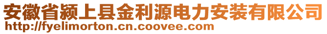 安徽省潁上縣金利源電力安裝有限公司