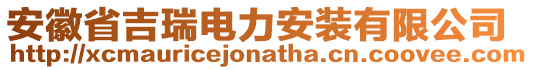 安徽省吉瑞電力安裝有限公司