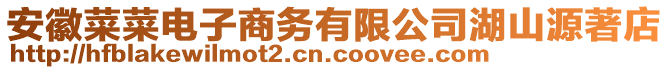 安徽菜菜電子商務(wù)有限公司湖山源著店