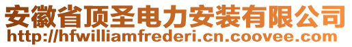 安徽省頂圣電力安裝有限公司