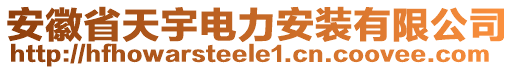 安徽省天宇電力安裝有限公司