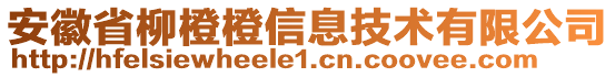 安徽省柳橙橙信息技術(shù)有限公司