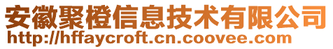 安徽聚橙信息技術(shù)有限公司