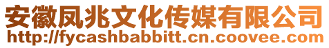 安徽鳳兆文化傳媒有限公司