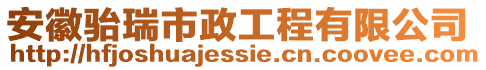 安徽駘瑞市政工程有限公司