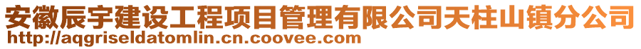 安徽辰宇建設(shè)工程項目管理有限公司天柱山鎮(zhèn)分公司