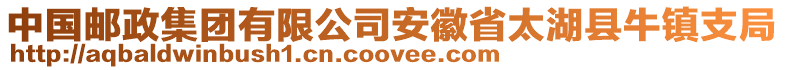 中國郵政集團有限公司安徽省太湖縣牛鎮(zhèn)支局