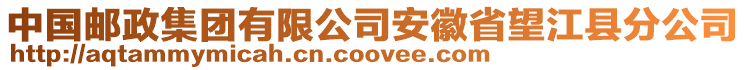 中國郵政集團(tuán)有限公司安徽省望江縣分公司