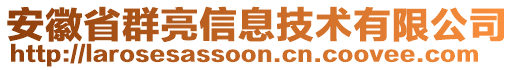 安徽省群亮信息技术有限公司