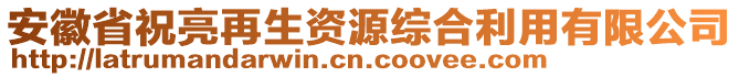 安徽省祝亮再生资源综合利用有限公司