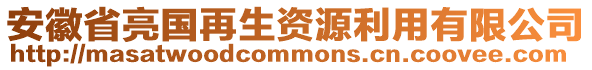 安徽省亮國(guó)再生資源利用有限公司