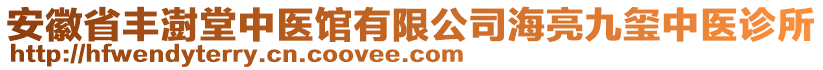 安徽省丰澍堂中医馆有限公司海亮九玺中医诊所