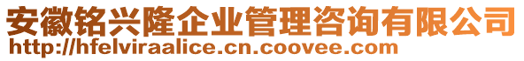 安徽銘興隆企業(yè)管理咨詢有限公司