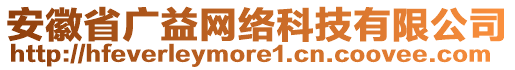 安徽省廣益網絡科技有限公司