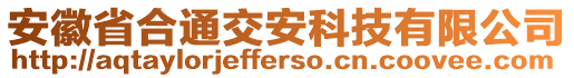 安徽省合通交安科技有限公司