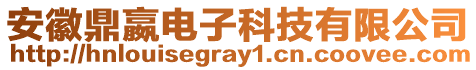 安徽鼎嬴電子科技有限公司