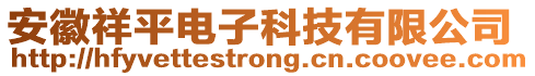 安徽祥平電子科技有限公司